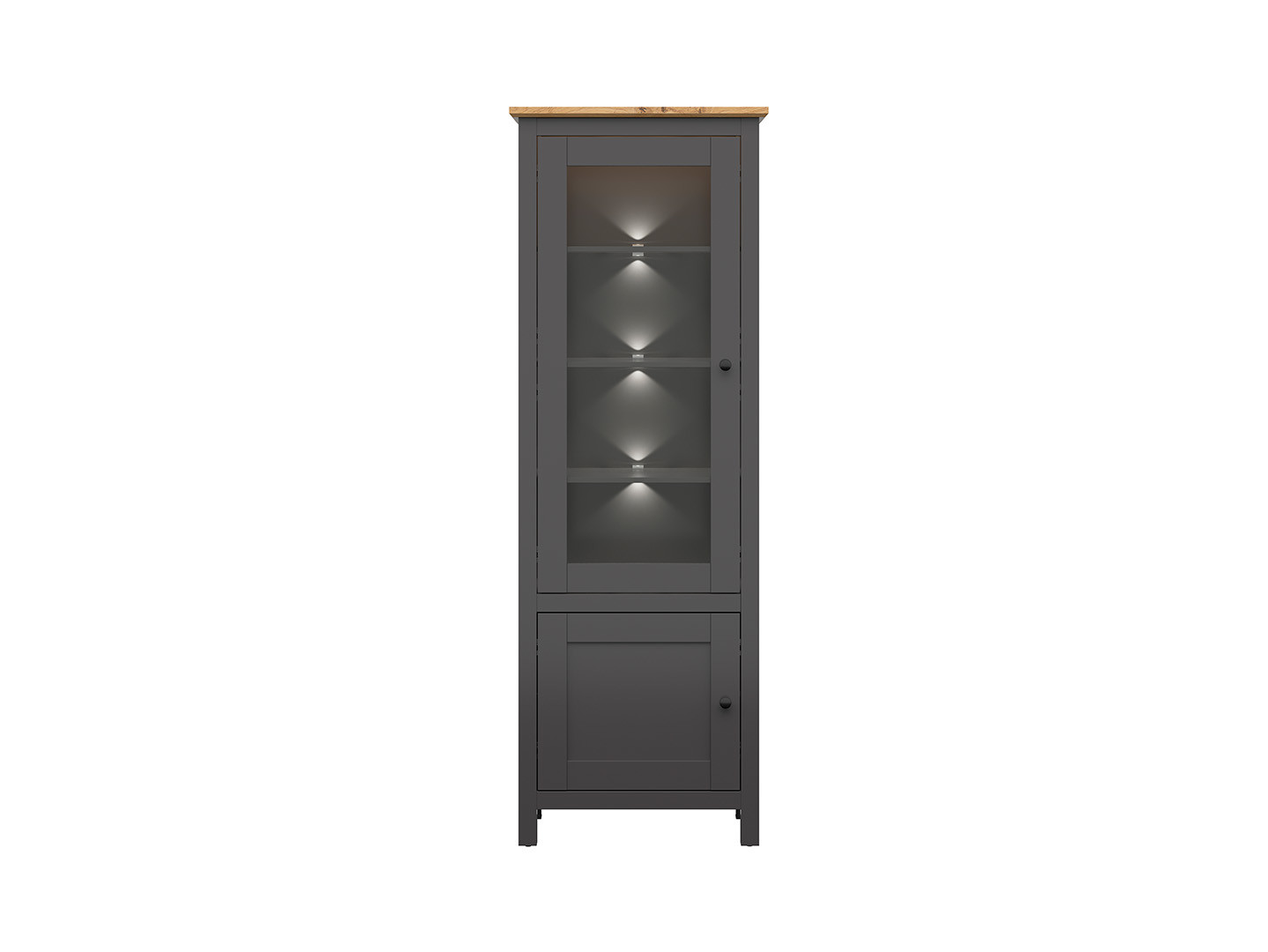 Vitrína HESEN - REG1W1D/20/7 grafit